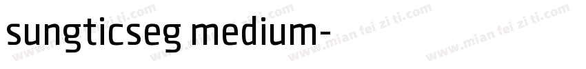 sungticseg medium字体转换